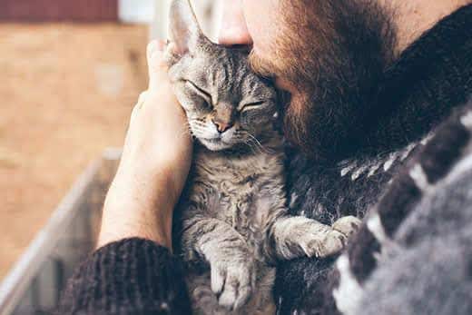 Man met baard knuffelt met een kat vlak bij zijn gezicht.