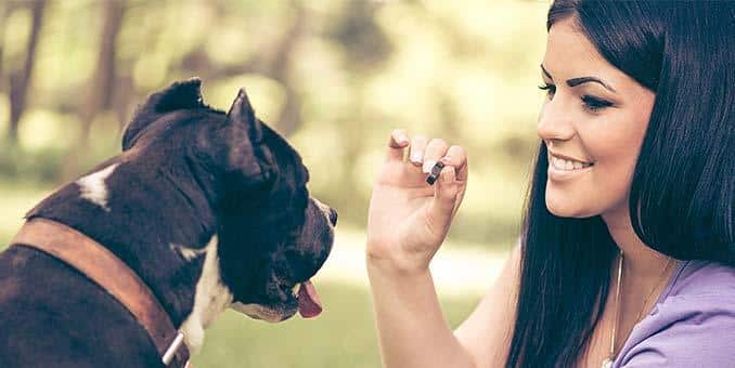 Vrouw geeft hond een traktatie