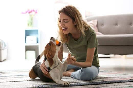 Jonge vrouw speelt thuis met haar hond