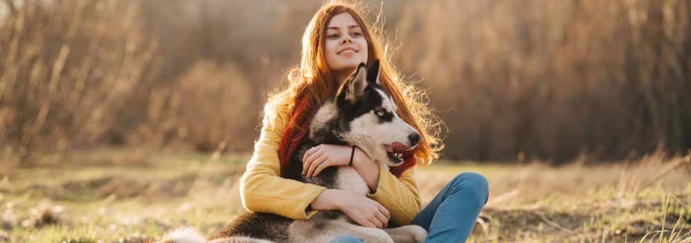 Foto van een Siberische Husky-hond