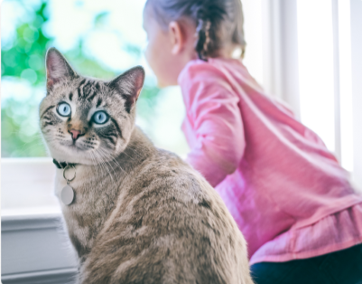 een klein meisje zit naast een kat met overgewicht