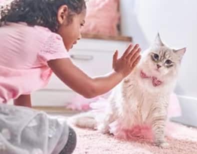 een jong meisje speelt met een kitten