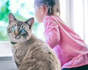 een klein meisje zit naast een kat met overgewicht