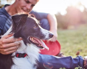 een man aait zijn hond