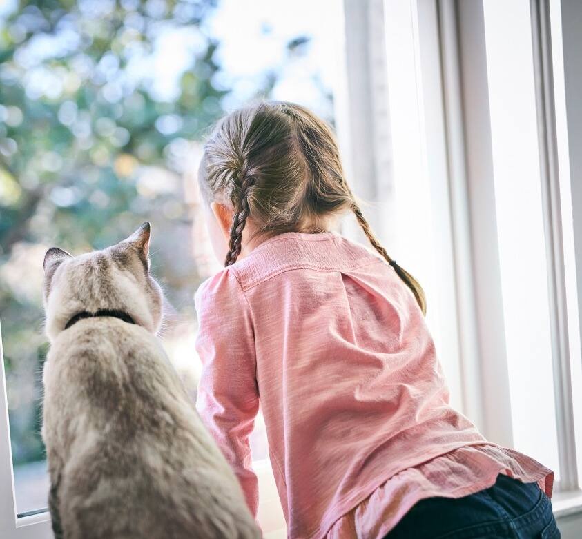 pet parent stroking a black cat with white features