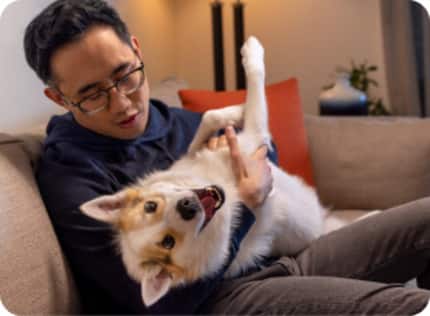 Dog being petted on the sofa by a man with glasses