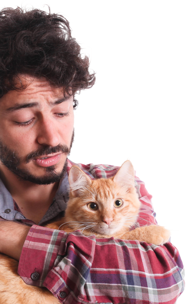 Man met oranje kat