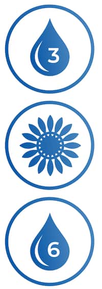 pictogram omega 3, pictogram bloem, pictogram omega 6