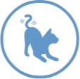 Icoon actieve kat