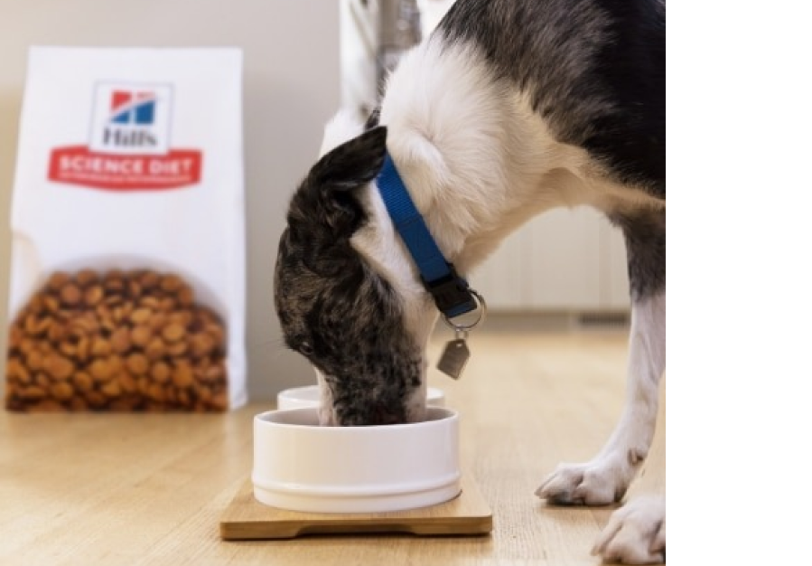 Hond eet Hill's Science Plan